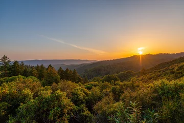 Fotobehang Sunset in the Santa Cruz mountains © Ian Miller