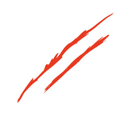 Claws scratches vector