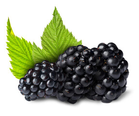 Tasty ripe blackberries and green leaves isolated on white