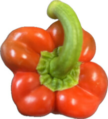 red bell peppers
