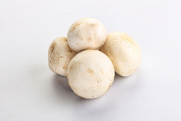 Fototapeta na wymiar Natural organic ripe champignon mushrooms