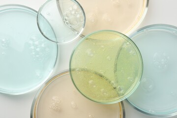 Petri dishes with different liquid samples on white background, top view