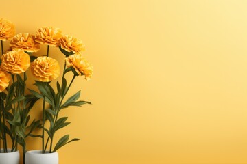 Fototapeta premium Marigolds minimal romantic scene