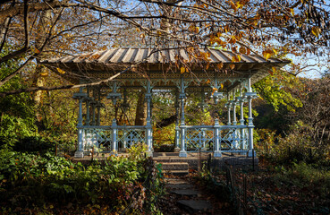 japanese garden in autumn