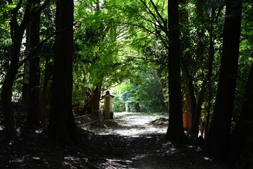 Japanese tourism. Tomb of Japan's great swordsman Yagyu clan. 'Hoyokuji-temple' Yagyu, Nara City.
