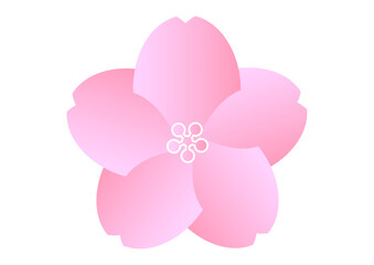 ピンク色のグラデーションの桜の花びらのイラスト素材