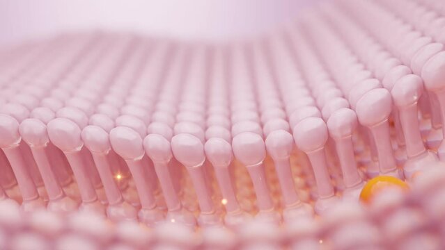 Vitamin C molecules penetrate the skin cells, restoring firmness to the skin. Vitamin and Collagen serum concept. 3D rendering.