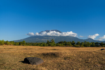 Savannah in Bali with a view of the Agung volcano. Indonesia