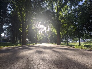 Obraz premium road in the park