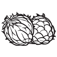 Brussels sprouts silhouettes and icons. Black flat color simple elegant white background Brussels sprouts vegetable vector and illustration.