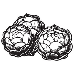 Brussels sprouts silhouettes and icons. Black flat color simple elegant white background Brussels sprouts vegetable vector and illustration.