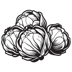 Brussels sprouts silhouettes and icons. Black flat color simple elegant white background Brussels sprouts vegetable vector and illustration.
