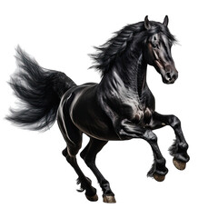 Black horse on transparent background