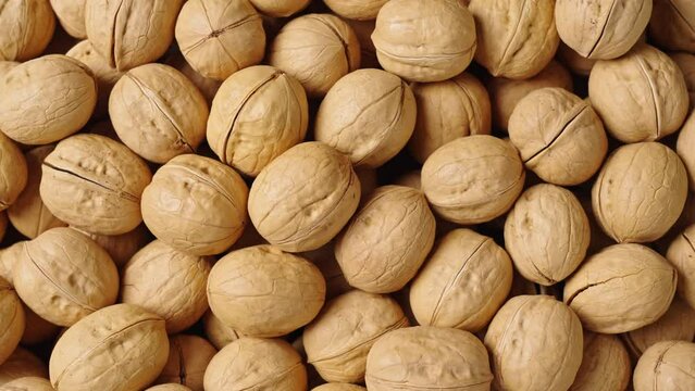 closeup of ripe walnuts texture background. 