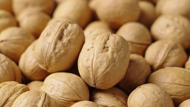 closeup of ripe walnuts texture background. 