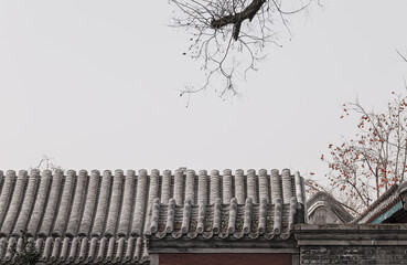 Rooftop of Chinese traditional building against sky with bare tree. Beijing, China