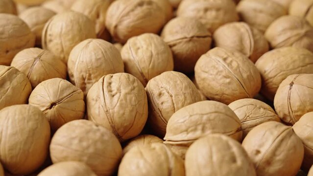 closeup of ripe walnuts texture background. 