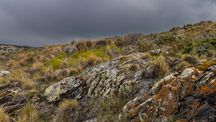 Southern Patagonia. Grasses and stunted bushes grow on the hillside. Orange and yellow lichens on the rocks. Cloudy sky. Argentina. Tierra del Fuego Archipelago. Bridges Island.
