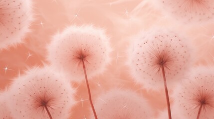 fluffy dandelions on a peach background; conceptual color of the year 2024, Peach Fuzz. Floral background. Pantone color - obrazy, fototapety, plakaty