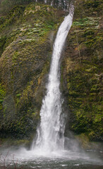 Fototapeta premium Horsetail Falls, Columbia Gorge National Scenic Area