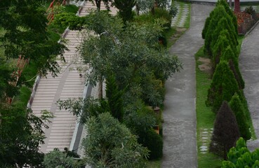 Fototapeta na wymiar background photo of street trees in park