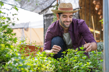 A man care vegetable in the backyard.health & wellness concept.