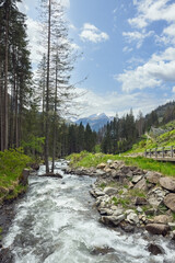 Fototapeta na wymiar mountain river in the Dolomites