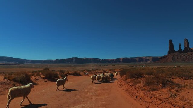 Monument Valley with sheep and herding dog in Utah and Arizona. Red rock formations in scenic iconic wild west landscape.