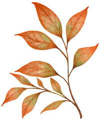 Autumn Brown Leaves watercolors