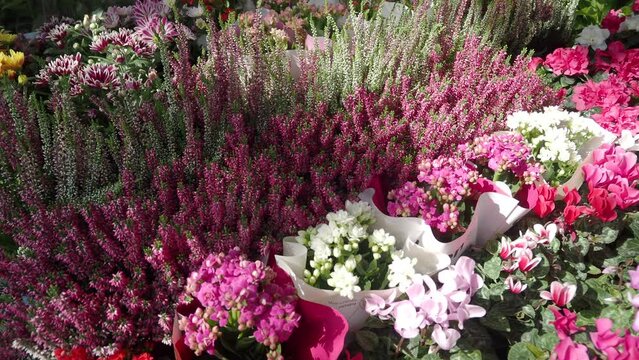 flower shop in istanbul, flower display for selling at street shop ,