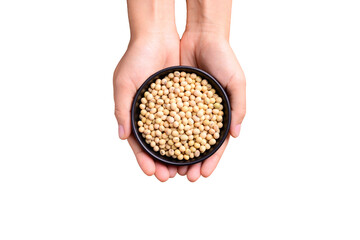 Soybean seed in bowl holding by hand, Top view