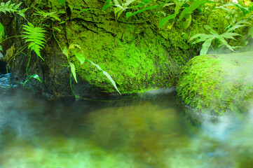 Small streams and stone covered with moss