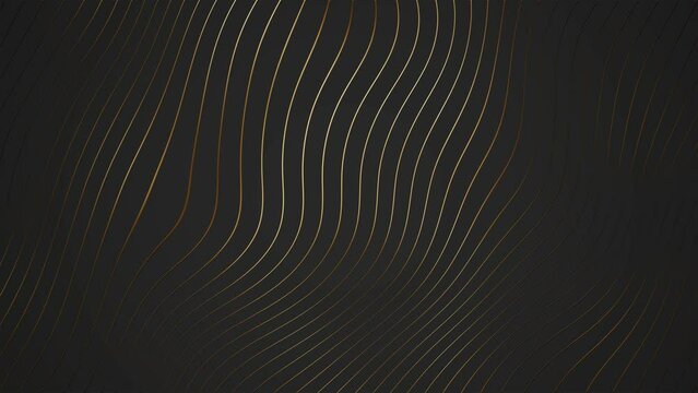 Gold Waves Abstract luxury Background. 