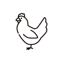 ニワトリ　鶏　鶏肉　イラスト