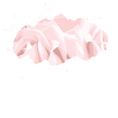 Watercolor pink abstract background centered on white. Watercolor pink abstract background centered on white. 白を中心とした水彩のピンクの抽象的な背景 白を中心とした水彩のピンクの抽象的な背景