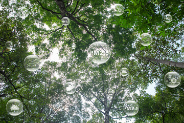 High angle view looking up at the trunk of a lush green forest. That helps in trapping dust and air...