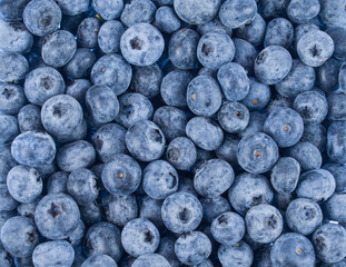 close up on fresh blueberry as food background