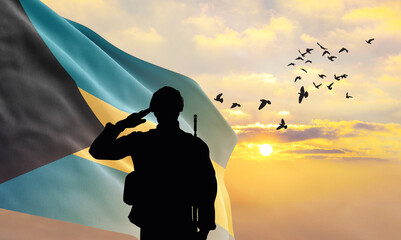 Silhouette of a soldier with the Bahamas flag stands against the background of a sunset or sunrise....