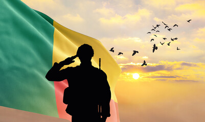 Silhouette of a soldier with the Benin flag stands against the background of a sunset or sunrise....