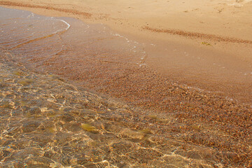 Sand and pebbles seashore with wave on sunny day. Vacation, travel, landscape. Copy space