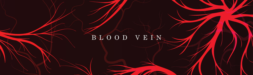 A vector background design with a set of blood veins. Red blood veins vector poster design.