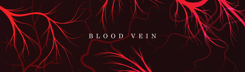 A vector background design with a set of blood veins. Red blood veins vector poster design.