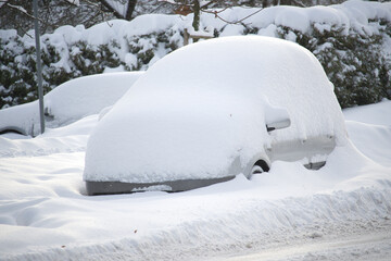 Cars thickly covered in a thick coating of snow