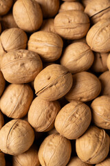 closeup of ripe walnuts texture background. 