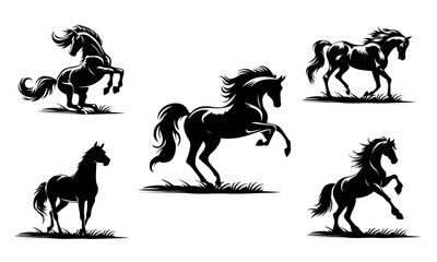 Horses Detailed Vector illustrations isolated on white background