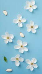 Obraz premium White flowers wallpapers for I pad, Notebook cover, I phone, tab mobile high quality images.