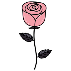valentine clipart pink rose