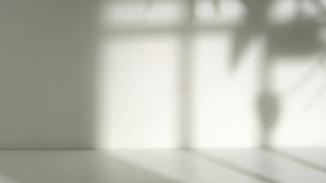 Empty room with window and plan shadow
