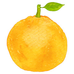 リアルな葉付き夏みかん・甘夏