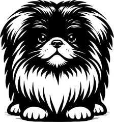 Pekingese icon 14